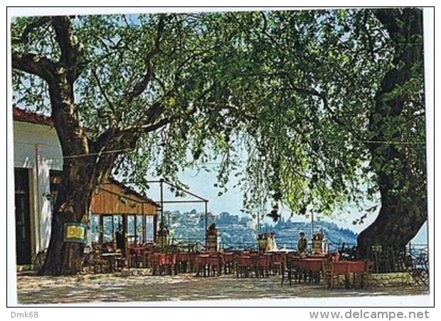 GREECE - PELION - CENTRAL SQUARE OF THE VILLAGE MACRINITSA - 1970s ( 1662 ) - Autres & Non Classés