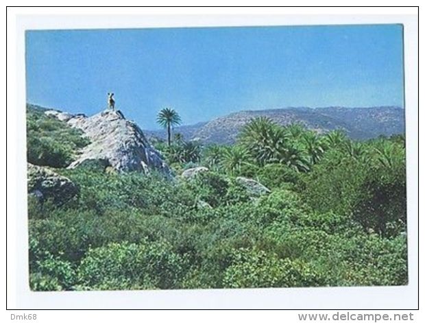 GREECE - CRETE - SITIA - THE PALM-TREE FOREST - VAI - 1970s ( 1707 ) - Autres & Non Classés