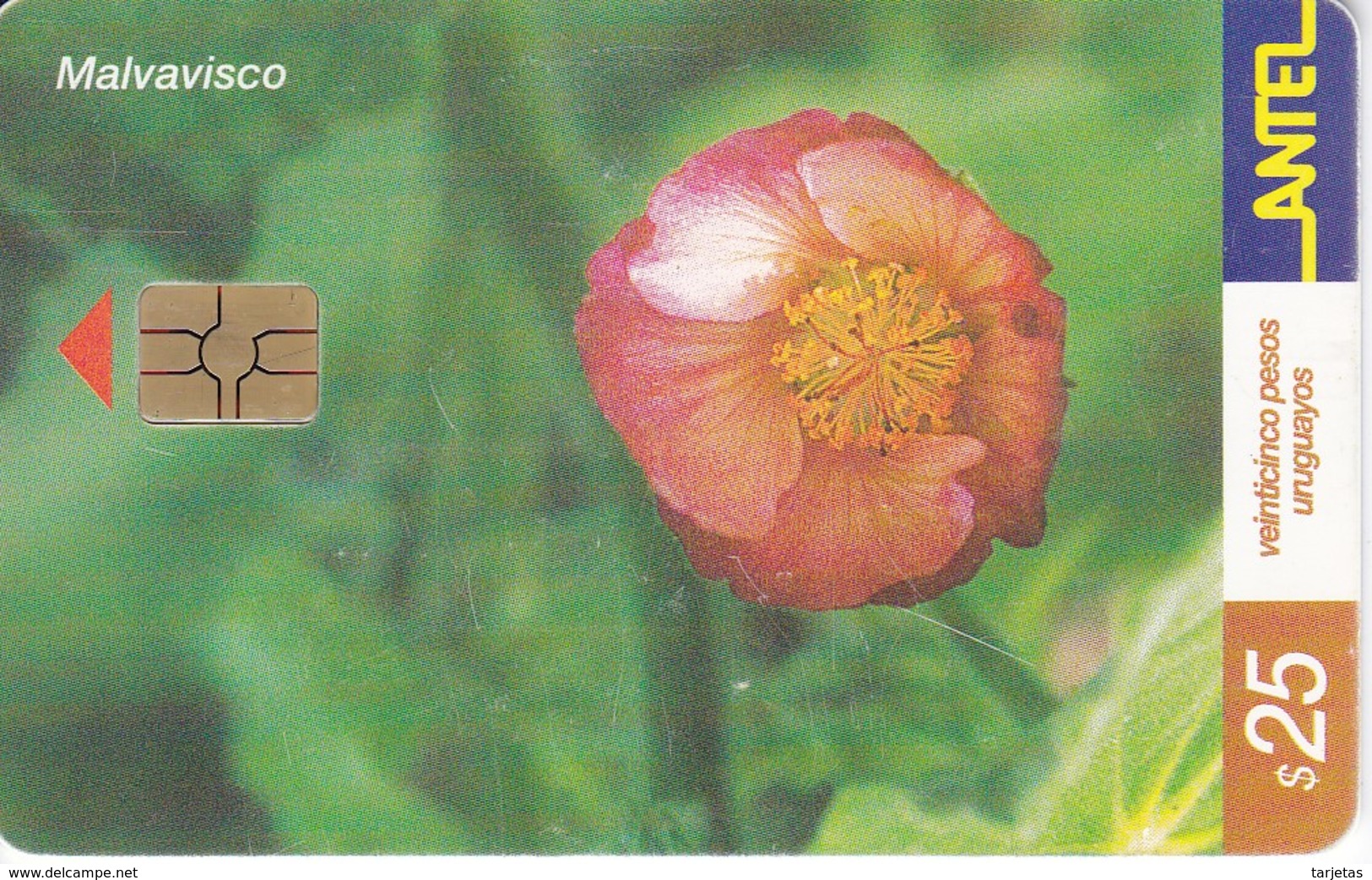 Nº 226 TARJETA DE URUGUAY DE LA MALVAVISCO (FLOWER-FLOR) (CHIP G5 ROJO) - Uruguay