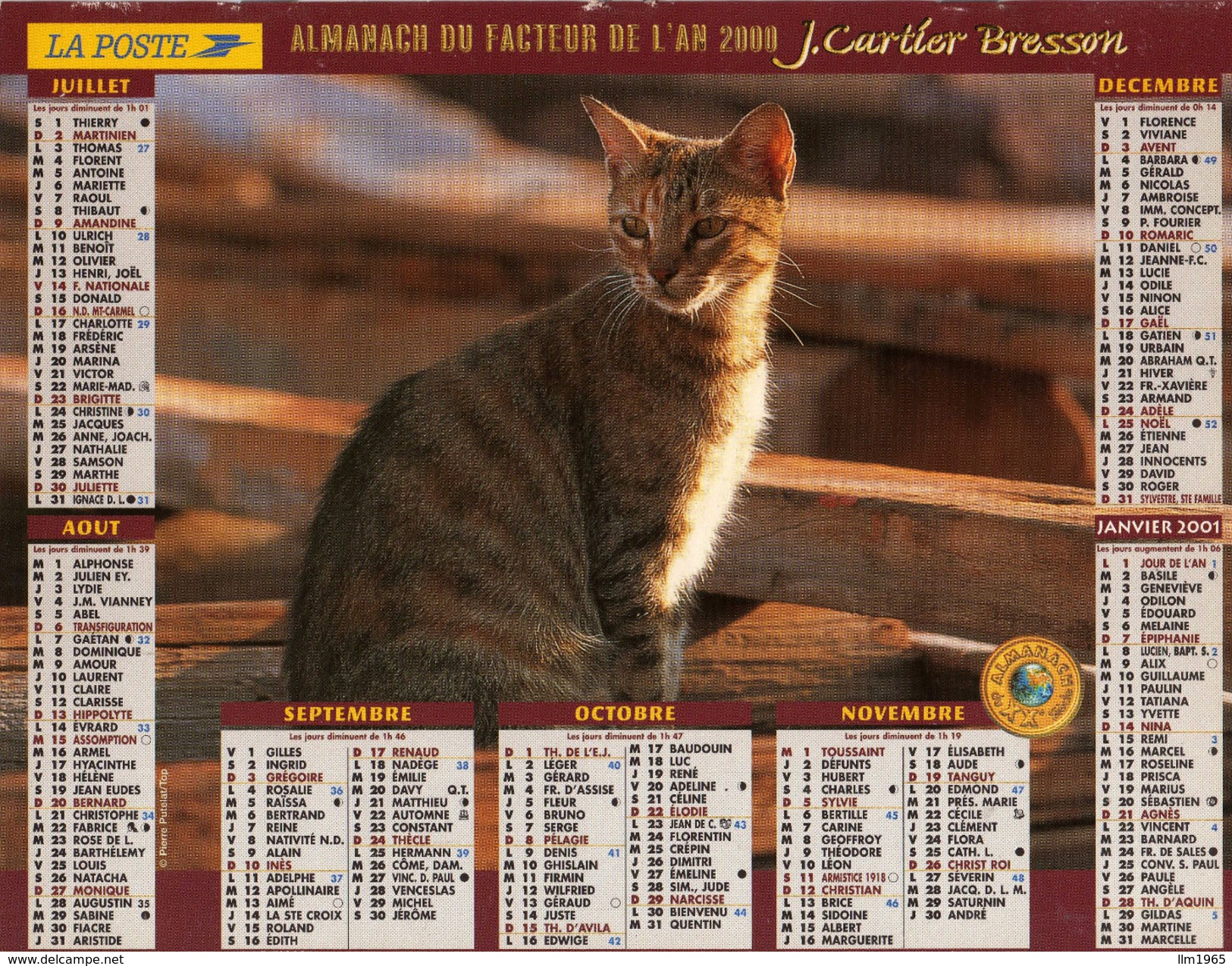 Calendrier Almanach La Poste 2000 CHATS écaille De Tortue Couleur Isabelle - Grand Format : 1991-00