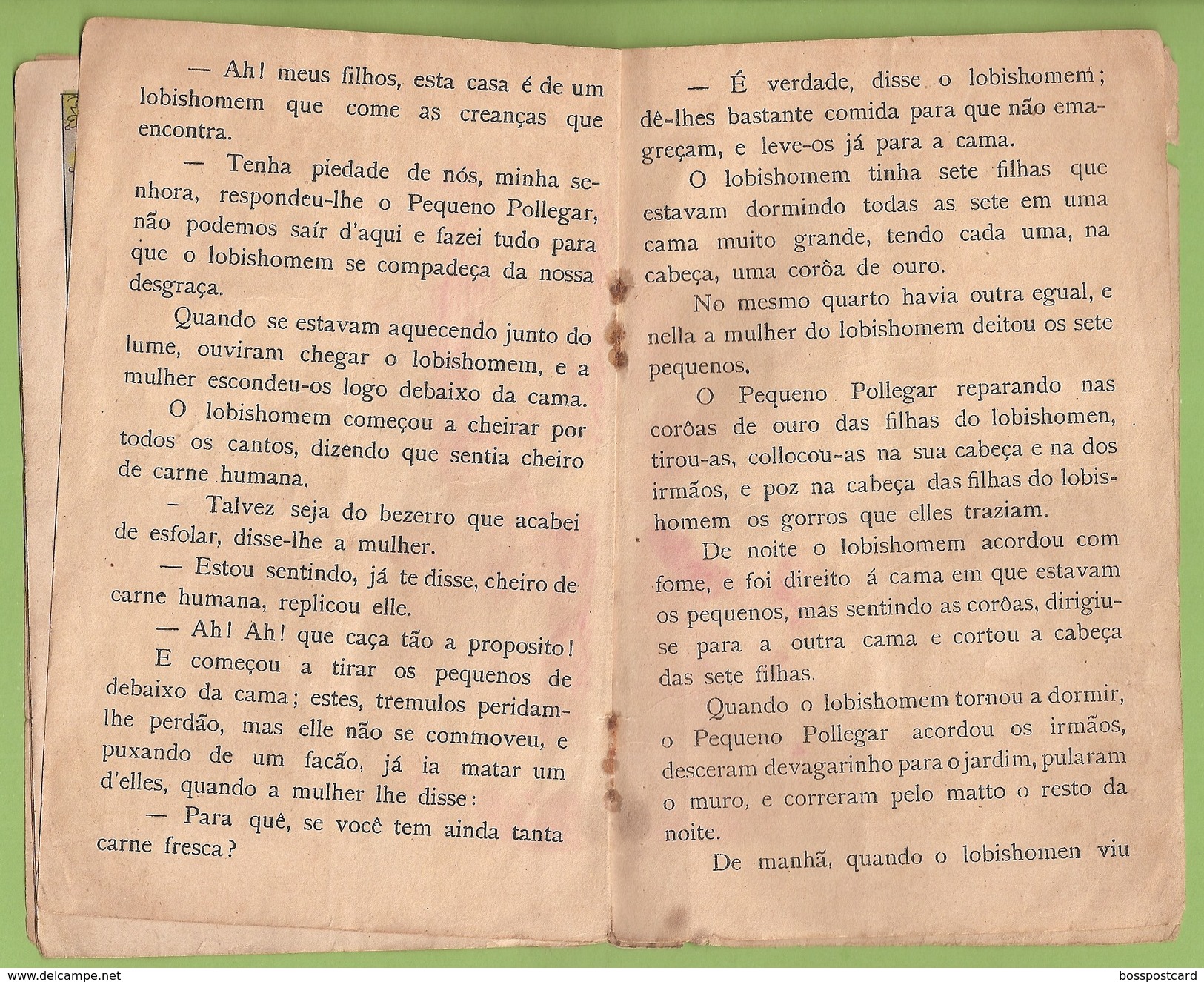 Rio De Janeiro - São Paulo - Belo Horizonte - Livro De Estoria Infantil O Pequeno Polegar - Ilustrador - Brasil - Giovani