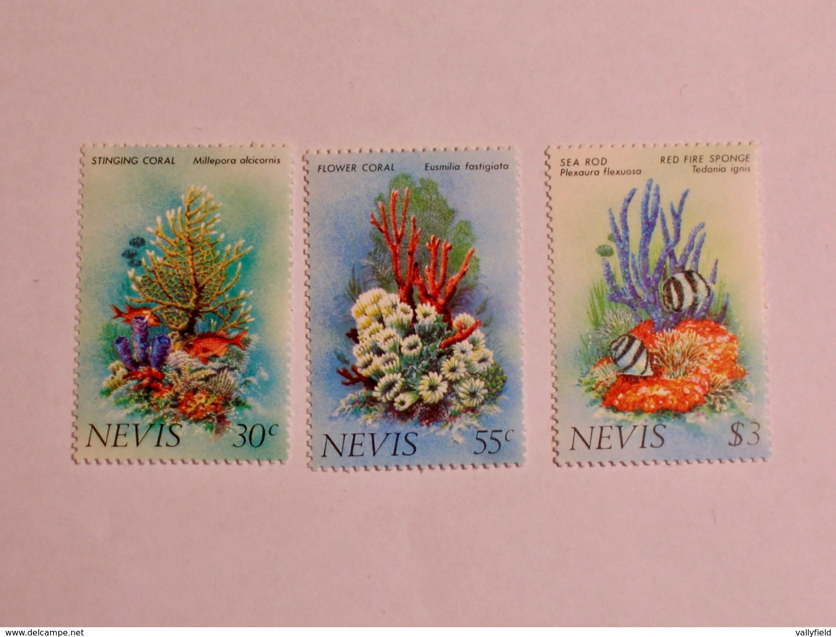 NEVIS  1983   LOT# 1  CORAL - St.Kitts-et-Nevis ( 1983-...)