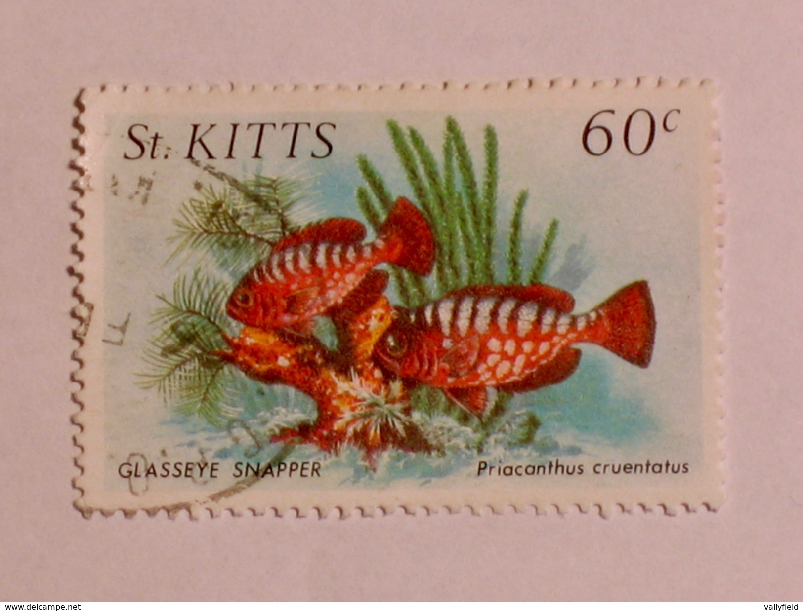 ST. KITTS  1984   LOT# 5  FISH - St.Kitts-et-Nevis ( 1983-...)