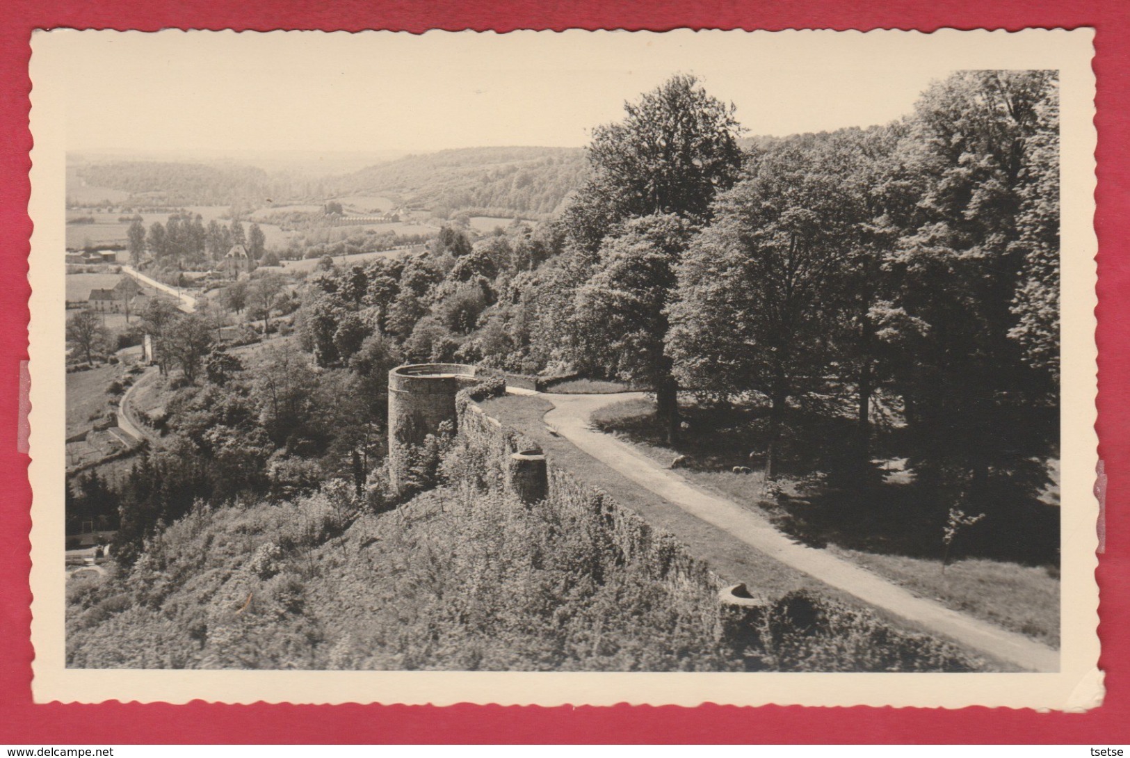 Beaumont - Vue Partielle Du Parc Paridaens ... Tour ... Carte Photo ... époque: Années 50 ( Voir Verso ) - Beaumont