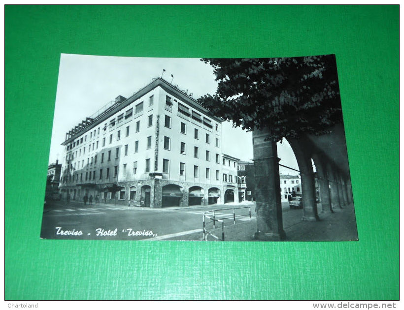 Cartolina Treviso - Hotel Treviso 1955 Ca. - Treviso