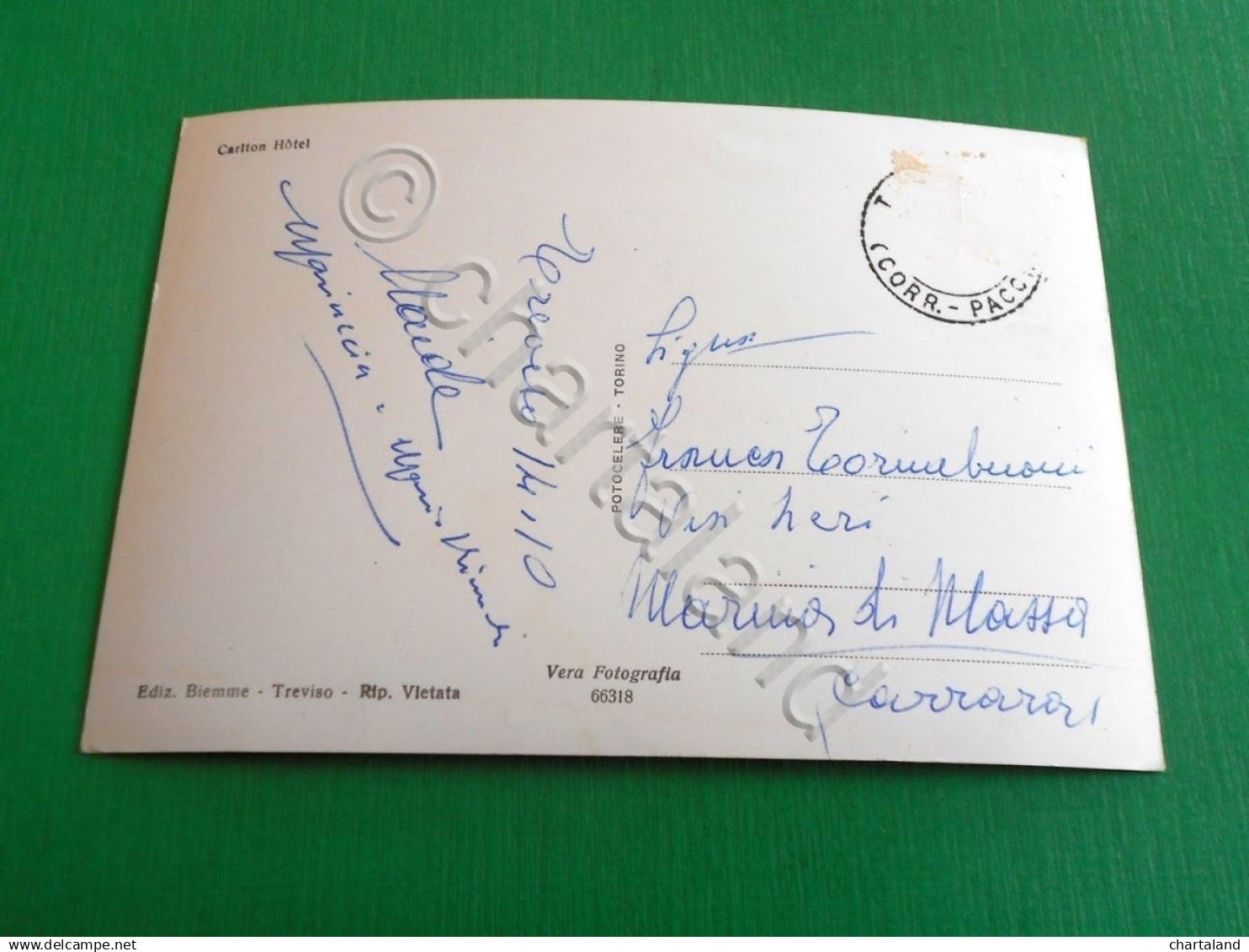 Cartolina Treviso - Carlton Hotel 1960 Ca - Treviso