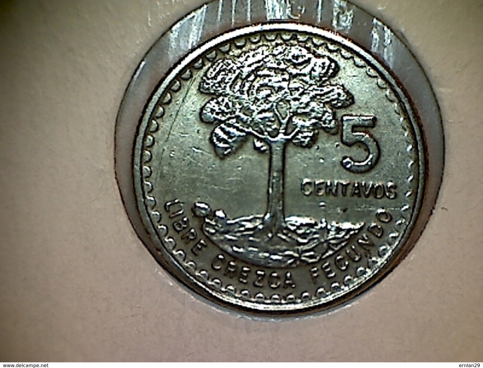 Guatemala 5 Centavos 1971 - Guatemala