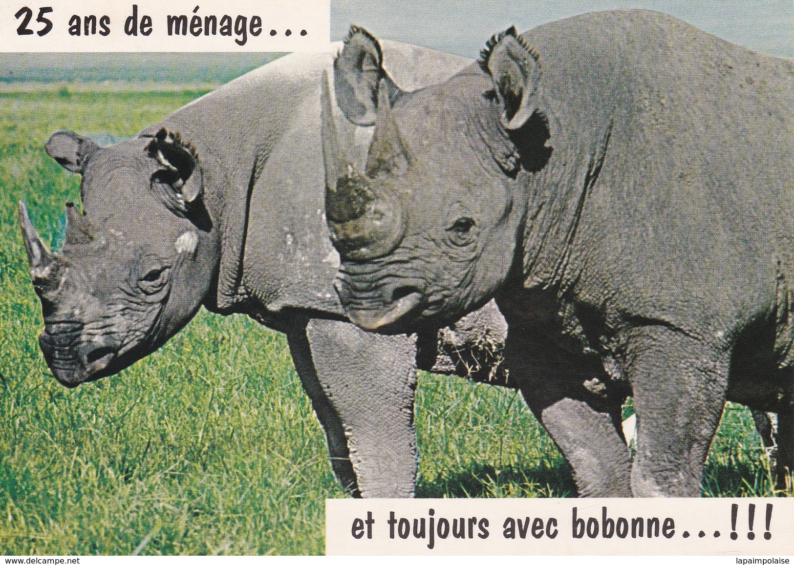 Thèmes > Animaux & Faune > Rhinocéros  " 25 Ans De Menage Et Toujours Avec Bobonne  " - Rhinocéros