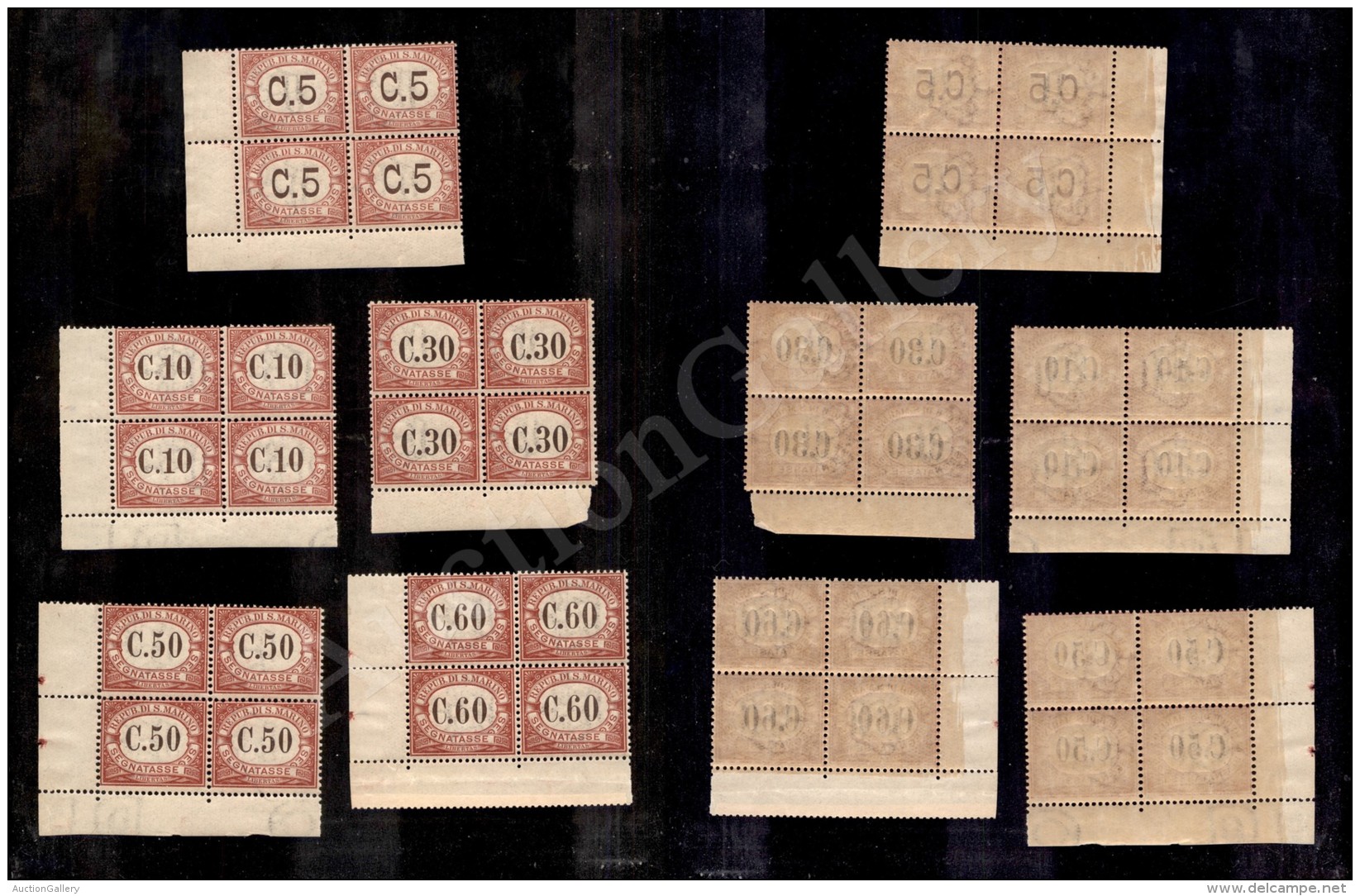 1924 - Segnatasse (10/14) - 5 Valori In Quartine Nuove Con Gomma Integra (900+) - Other & Unclassified