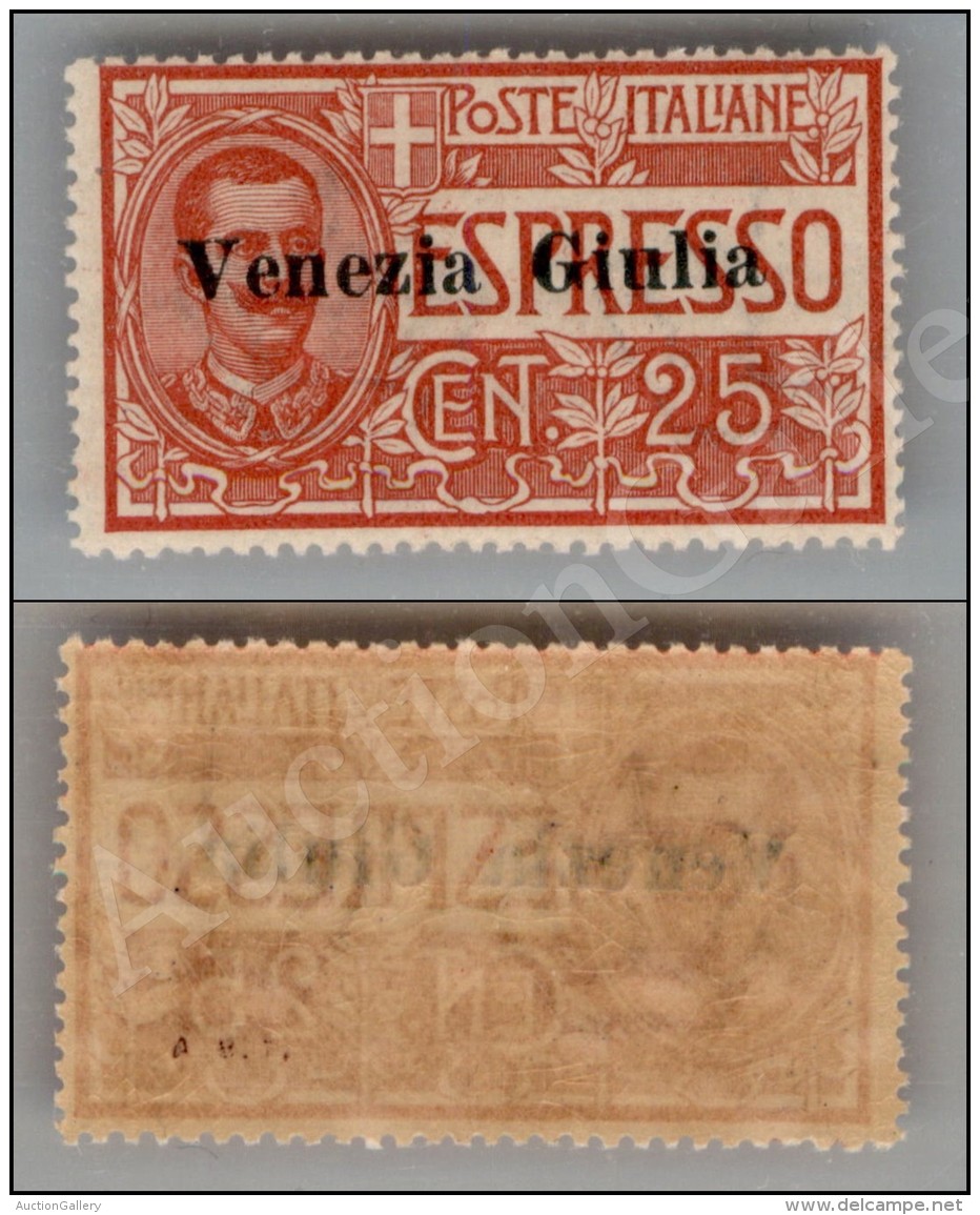 1919 - 25 Cent (1 Espressi) Nuovo Con Gomma Integra (550) - Other & Unclassified