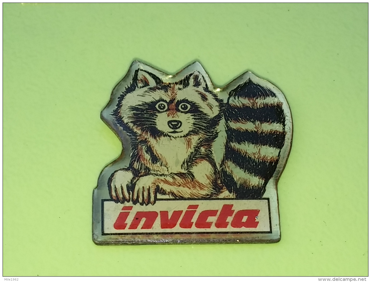 PINS 28 - INVICTA, ANIMAL, Procyon Lotor - Animaux