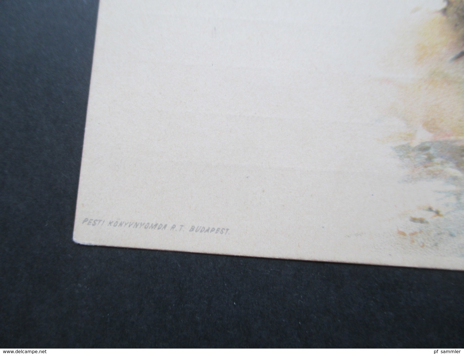 Postkarte / Privatganzsache Ungarn 1896?? Rakoczy Ferencz Beyonulasa Munkacsra Entree De Francois Racoczy - Lettres & Documents