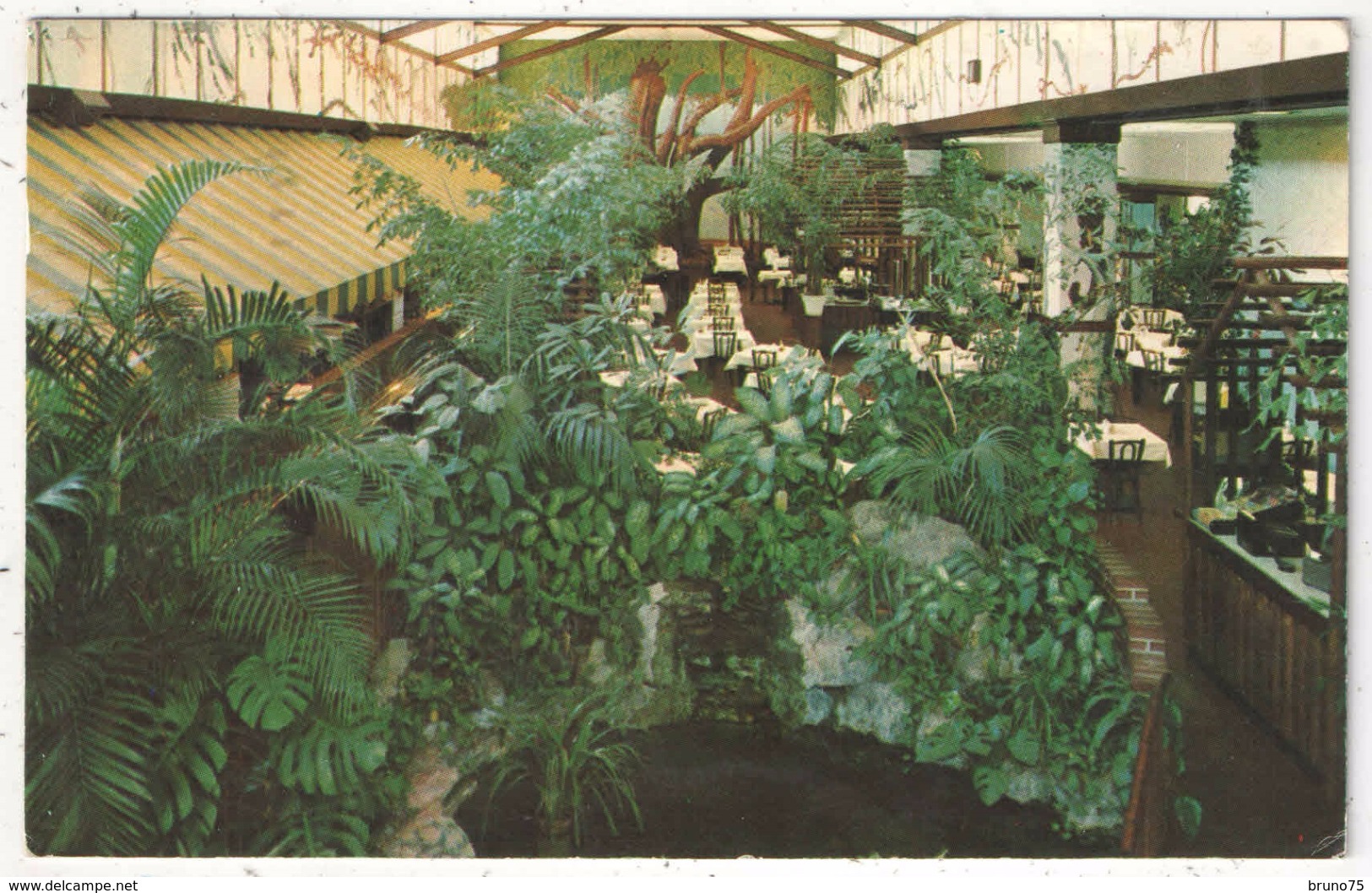 Garden Cafeteria - 232 Secons St. North, St. Petersburg, Florida - 1957 - St Petersburg