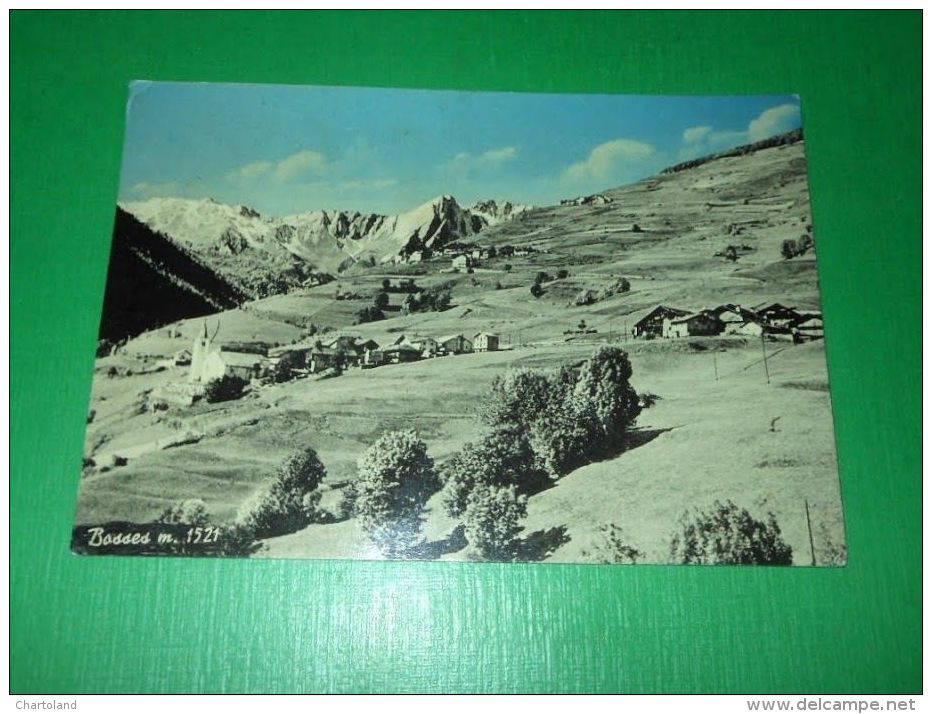 Cartolina Bosses ( Aosta ) - Panorama 1957. - Other & Unclassified