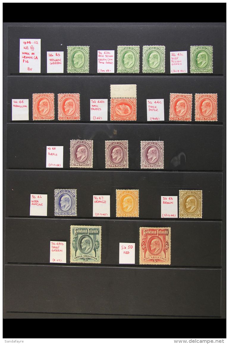1904-12 MINT ONLY KEVII GROUP On A Stock Page. Includes 1904-12 Set Inc 2d (x3), Two Top Values With Poor Gum.... - Falklandeilanden