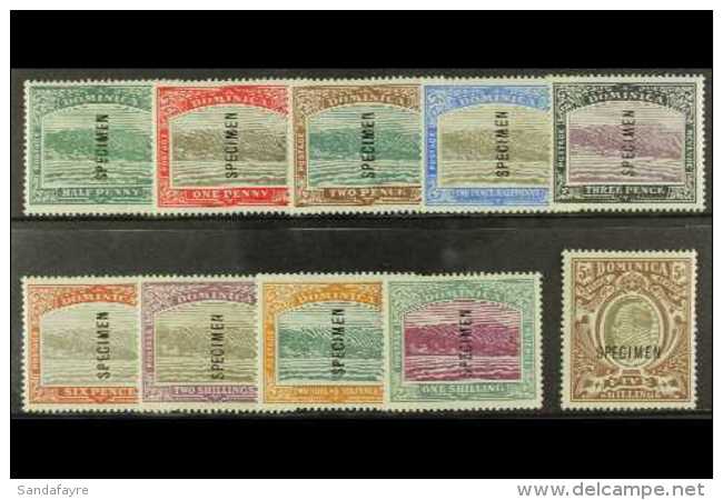 1903-07 Complete Set Overprinted "SPECIMEN", SG 27s/36s, Very Fine Mint. (10 Stamps) For More Images, Please Visit... - Dominica (...-1978)