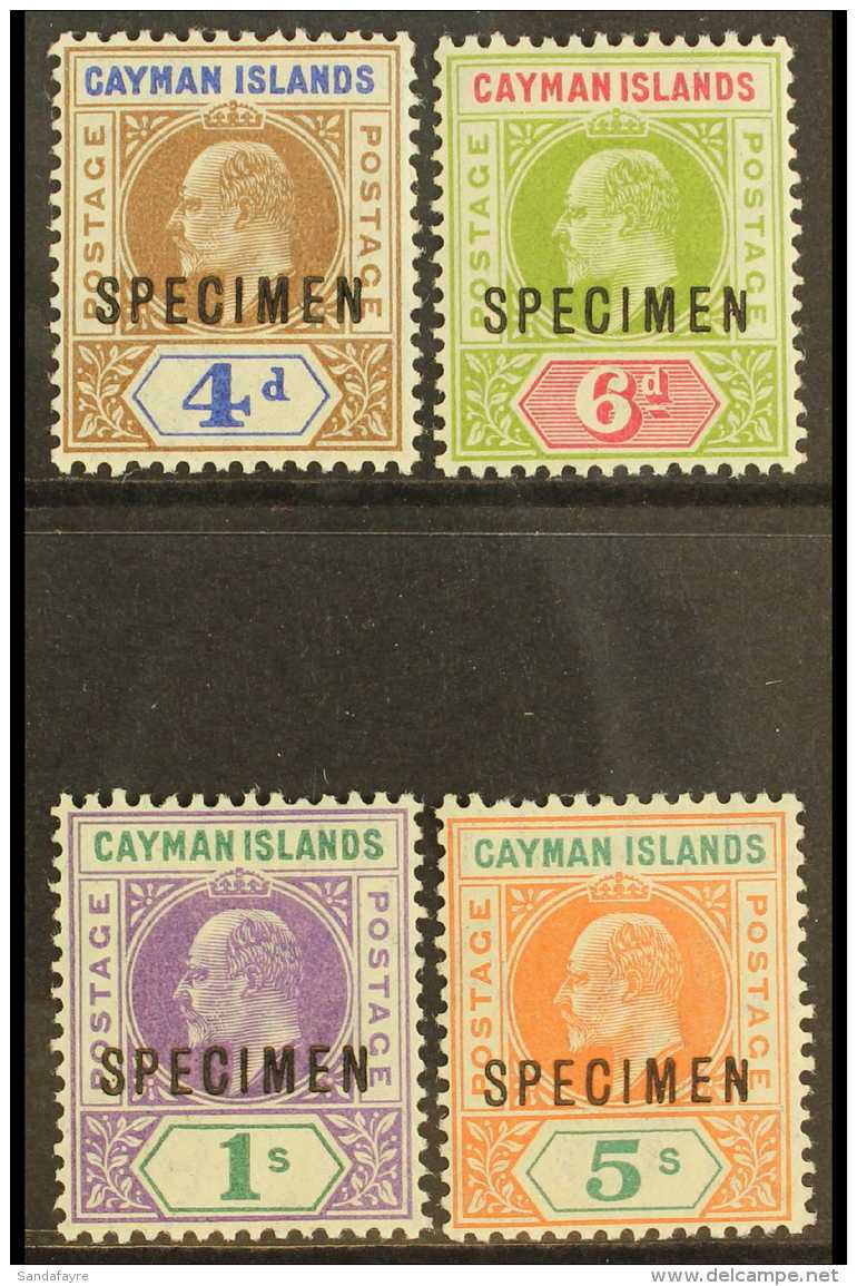 1907 Set, Overprinted "SPECIMEN", SG 13/16s, Extremely Fine Mint. (4) For More Images, Please Visit... - Iles Caïmans