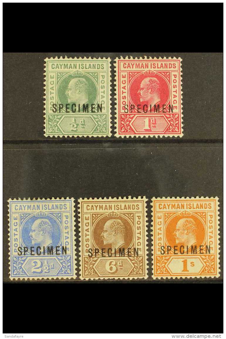 1902-03 Set, Overprinted "SPECIMEN", SG 3/7s, Fresh Mint. (5) For More Images, Please Visit... - Iles Caïmans