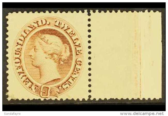 1894 12c Deep Brown, SG 61, Very Fine Marginal Mint. For More Images, Please Visit... - Autres & Non Classés