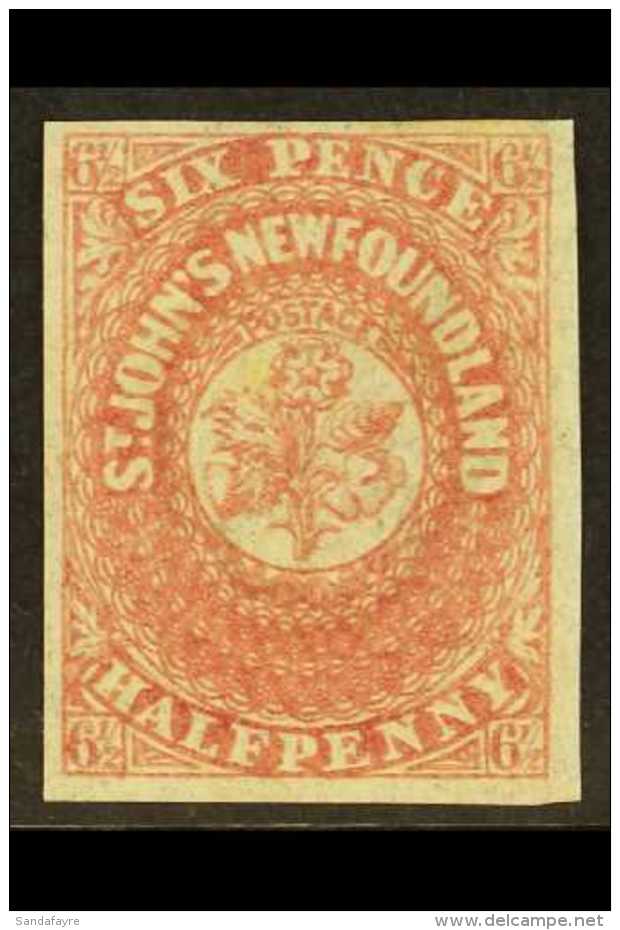 1862 6&frac12;d Rose Lake, SG 21, Very Fine Mint With Clear Margins All Round. For More Images, Please Visit... - Autres & Non Classés