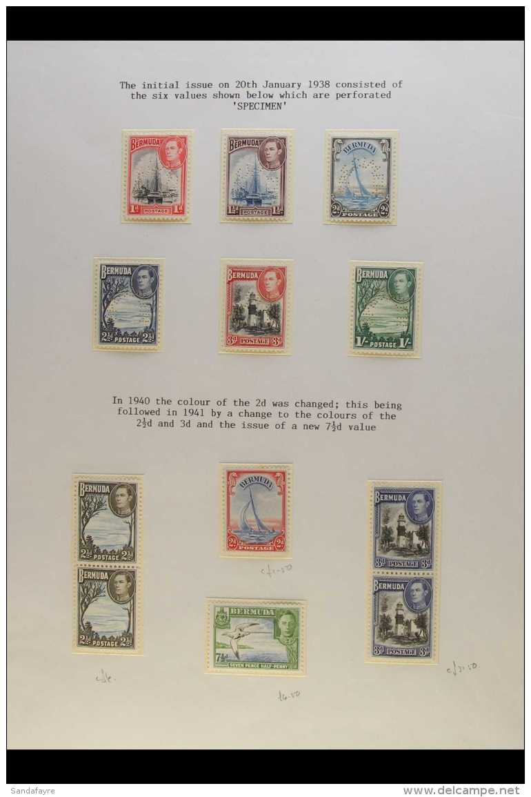 1938-52 PICTORIALS. SPECIALIZED SUPERB MINT &amp; NHM COLLECTION On Pages, Includes 1938-52 All Values With... - Bermuda