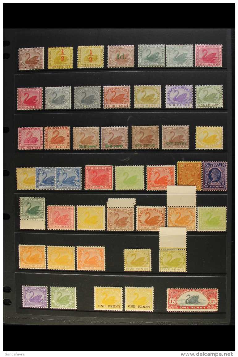 WESTERN AUSTRALIA 1882-1912 FINE MINT COLLECTION Presented On A Stock Page. Includes 1882-85 3d, 1884 Both Perf... - Autres & Non Classés
