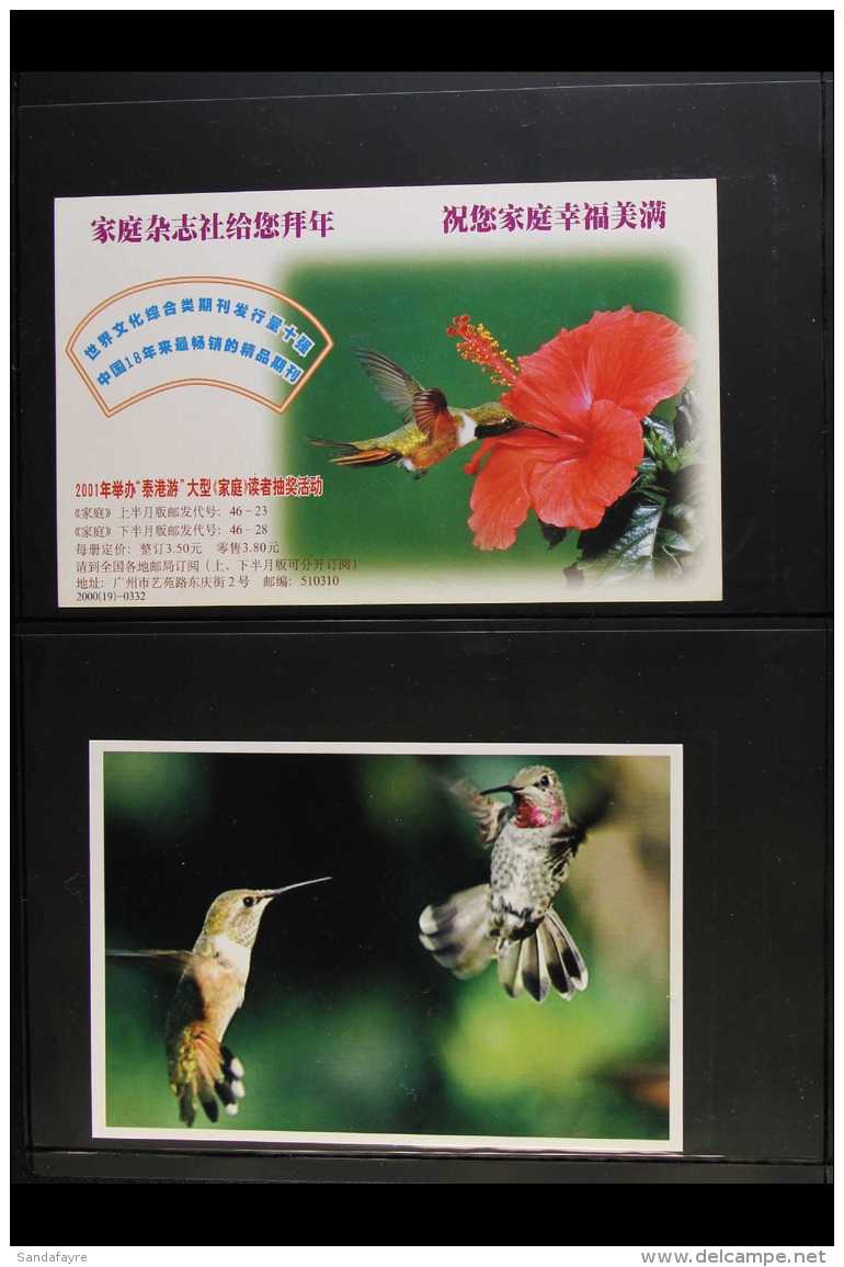 BIRDS - HUMMINGBIRD POSTCARDS An All Different Collection Of Modern (2000's) Chinese Postcards, Mostly Unused, And... - Zonder Classificatie