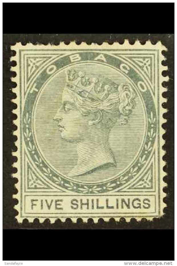 1879 5s Slate, SG 5, Unused No Gum, Perf Faults. Cat &pound;900. For More Images, Please Visit... - Trinidad En Tobago (...-1961)