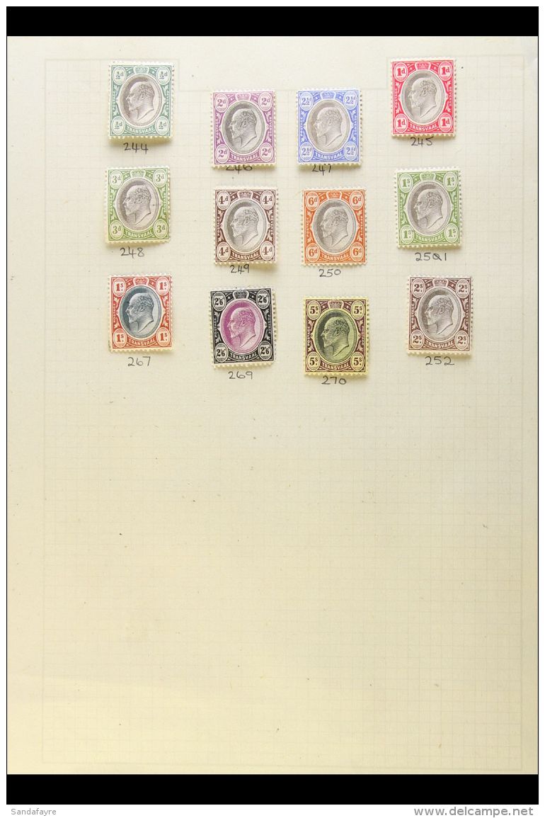 TRANSVAAL 1902-1909 KEVII Mint And Used Collection On Album Pages. Nice Range Of Values To 5s Mint And To &pound;1... - Non Classés