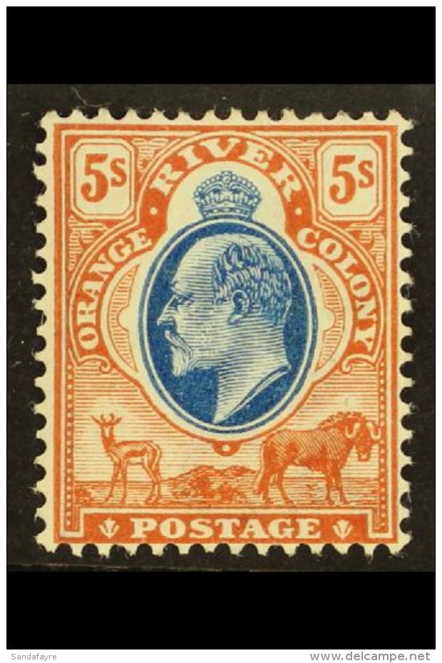 ORANGE FREE STATE 1903 5s Blue And Brown, Ed VII, SG 147, Fresh Mint. For More Images, Please Visit... - Non Classés