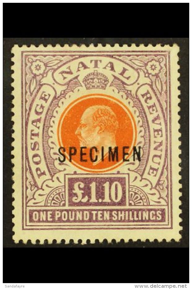 NATAL 1904 - 08 &pound;1.10s Brown Orange And Deep Purple, Ovptd "Specimen", SG 162s, Very Fine And Fresh Mint.... - Non Classés