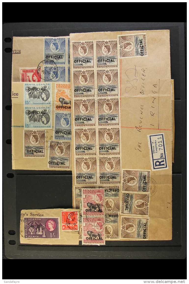 OFFICIALS ACCUMULATION 1959 Group Of Used Ovptd Stamps, Mostly Used On Piece With Values To 2s, Note Large Front,... - Vide