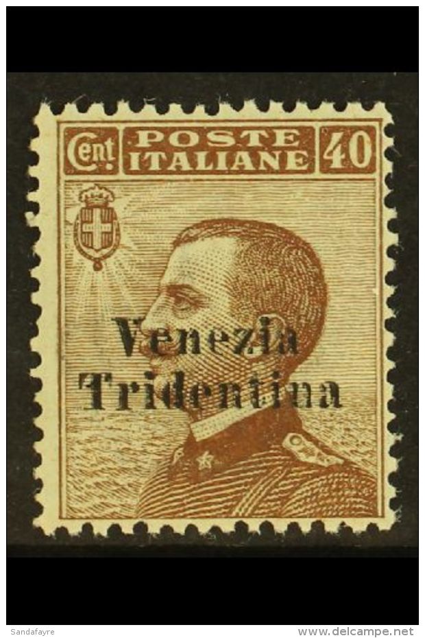 AUSTRIAN TERRITORIES - TRENTINO 1918 40c Brown, "Venezia Tridentina" Overprint, Sassone 24, Never Hinged Mint,... - Autres & Non Classés