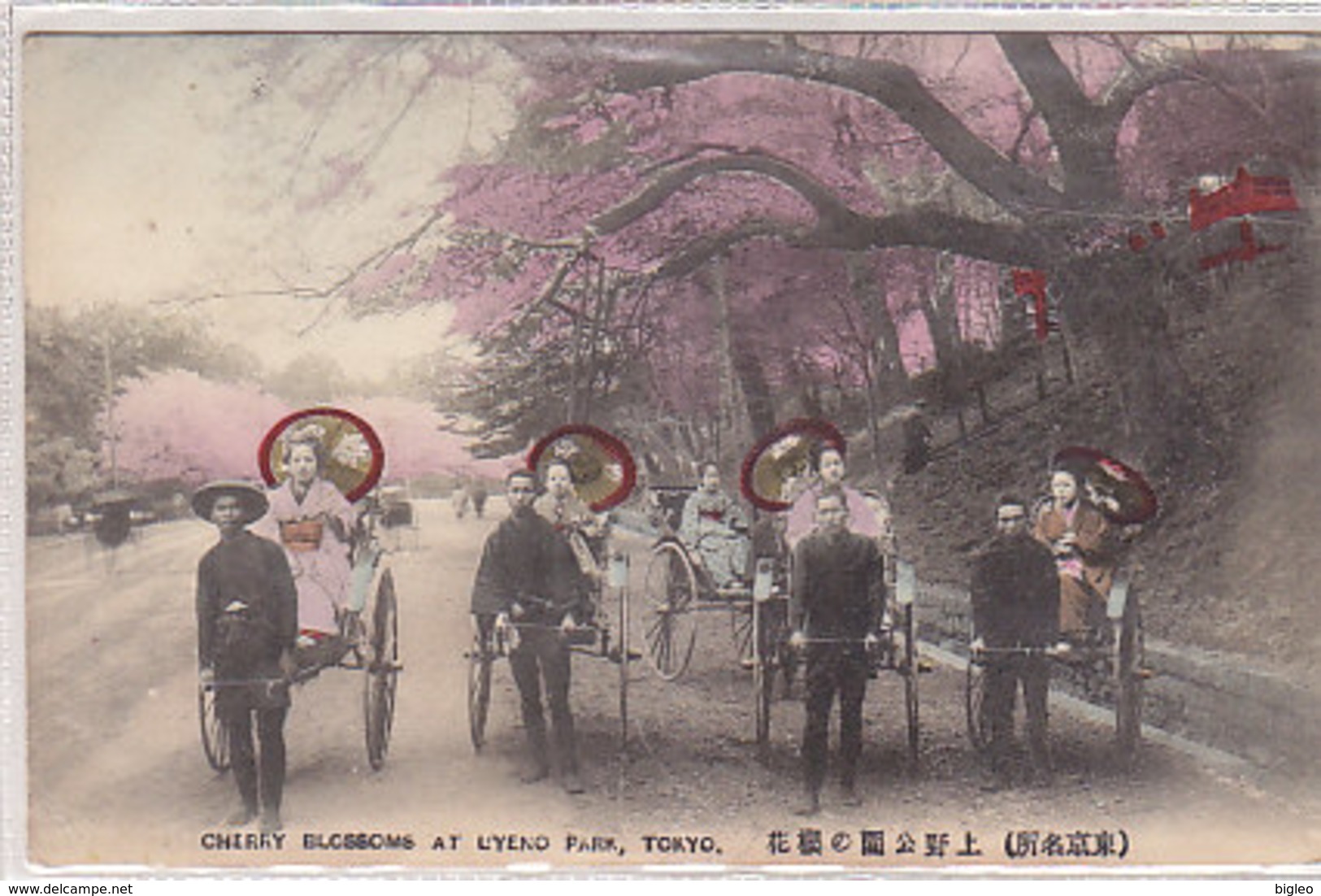 Tokyo - Cherry Blossoms At Uyeno Park - 1909   (A-41-160625) - Jemen