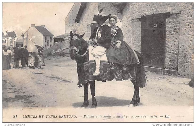 Saillé     44      Paludiers A Cheval . Costumes De Mariés   (voir Scan) - Sonstige & Ohne Zuordnung