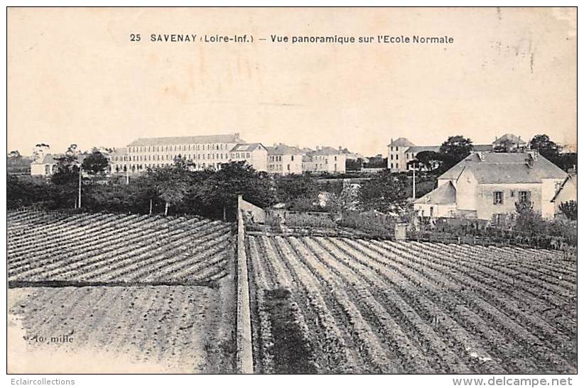 Savenay     44      Vue Panoramique Sur L'école Normale    (voir Scan) - Savenay