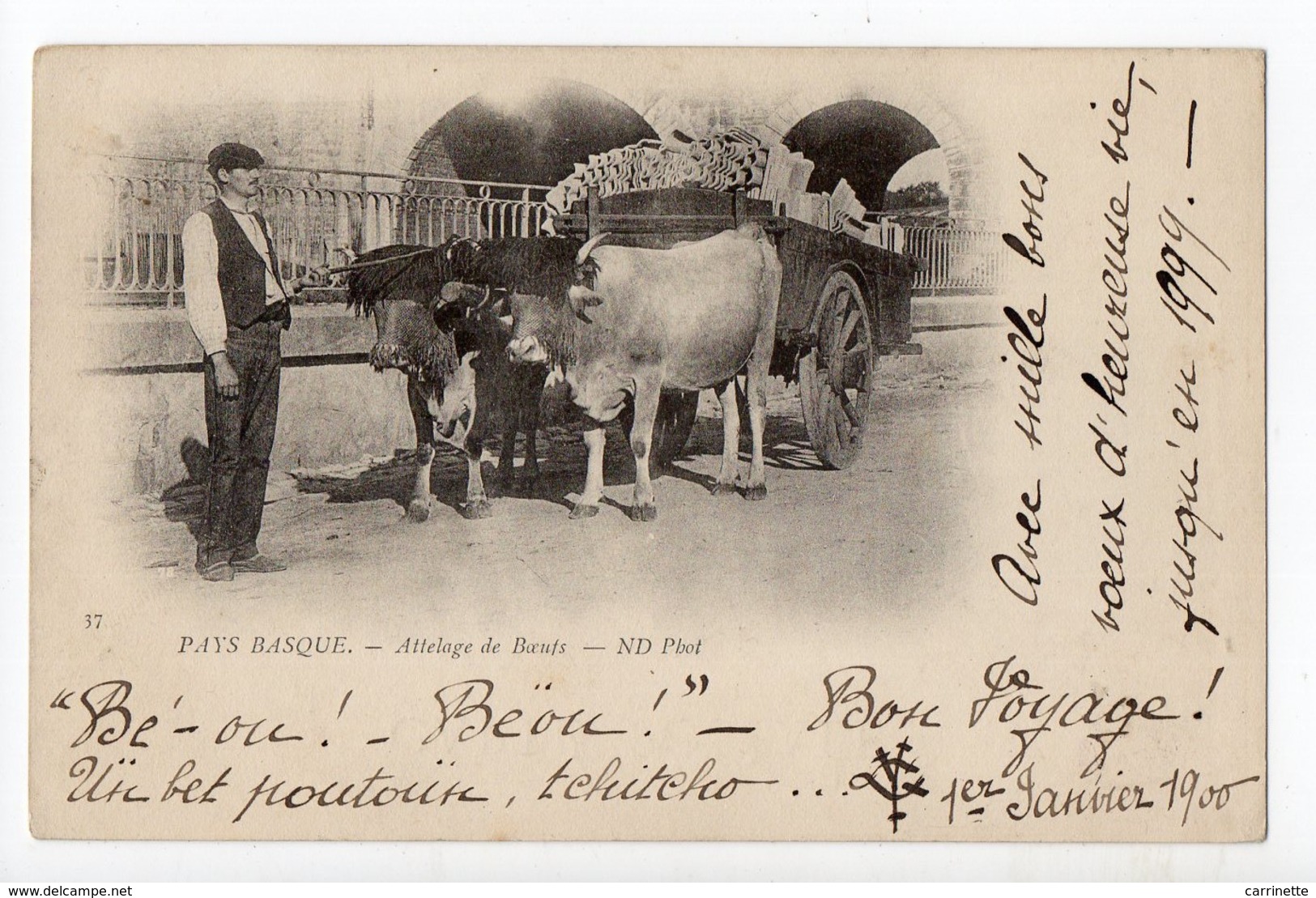 BAYONNE - 64 - PAYS BASQUE - Attelage De Boeufs 1900... - Achat Immédiat - Bayonne