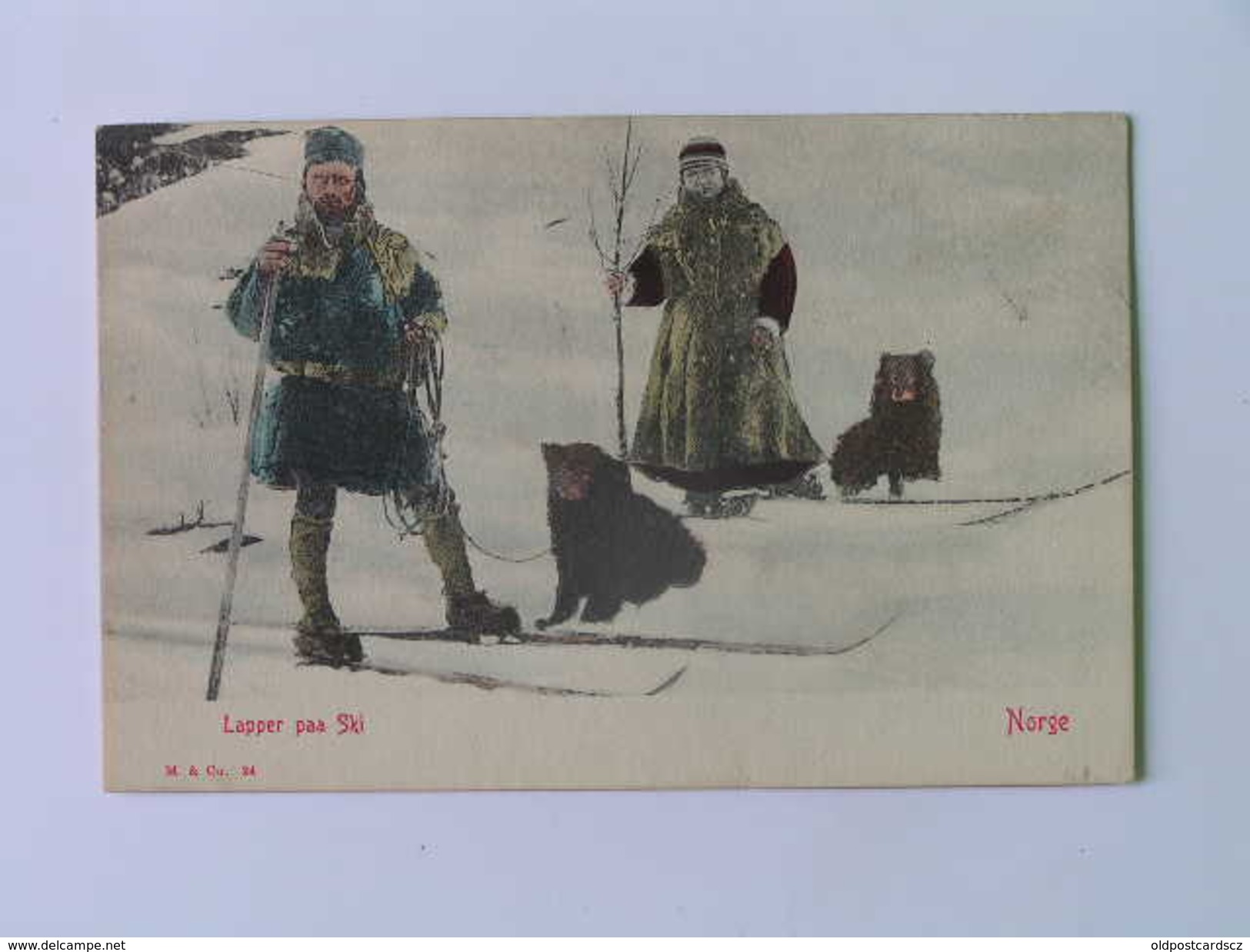 NORWAY 87 Lapper Paa Ski 1902 No 104 - Norvège