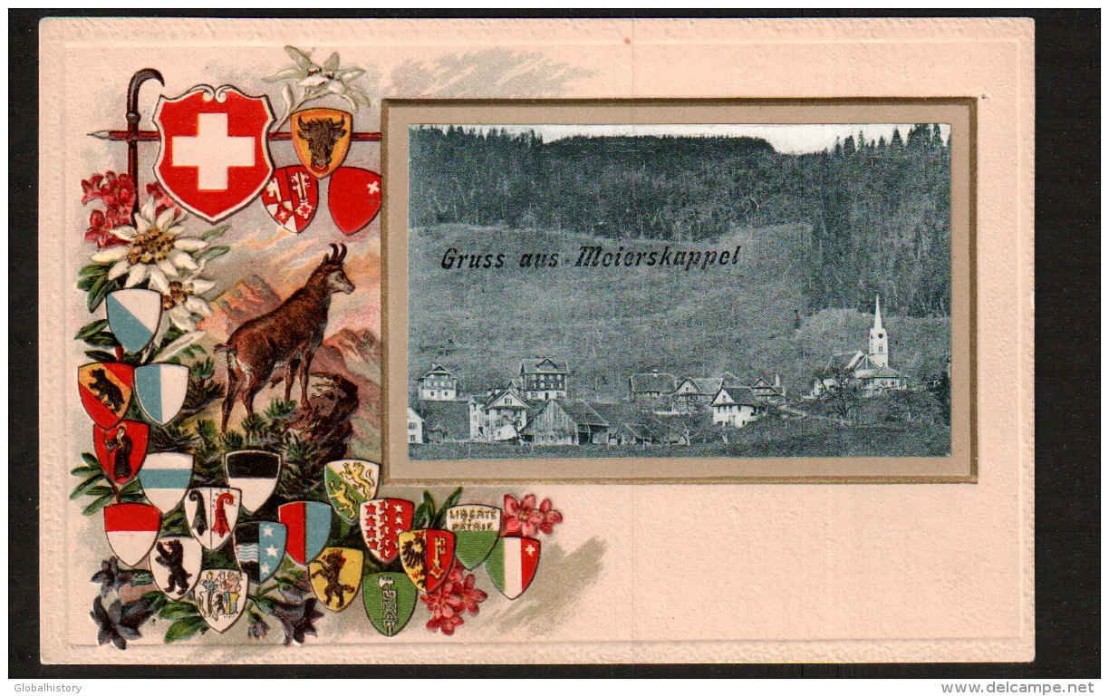 DD1458 - SWISS - MEIERKAPPEL - PANORAMA VIEW - Autres & Non Classés