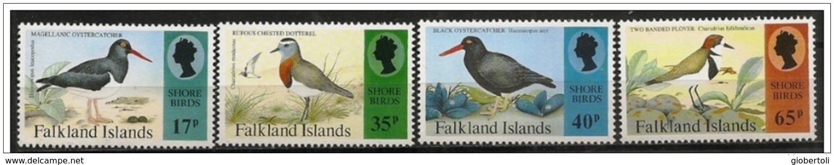 Falkland/Falklands: Uccelli Del Litorale, Birds Of The Coast, Oiseaux De La Côte - Albatros