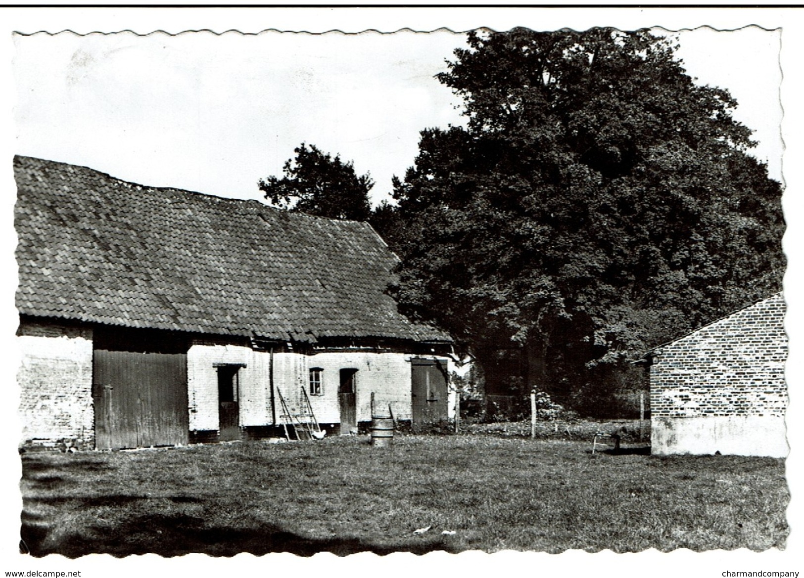 Zutendaal, Oude Hoeve - Circulée - Edit. P. Liebens - 2 Scans - Zutendaal