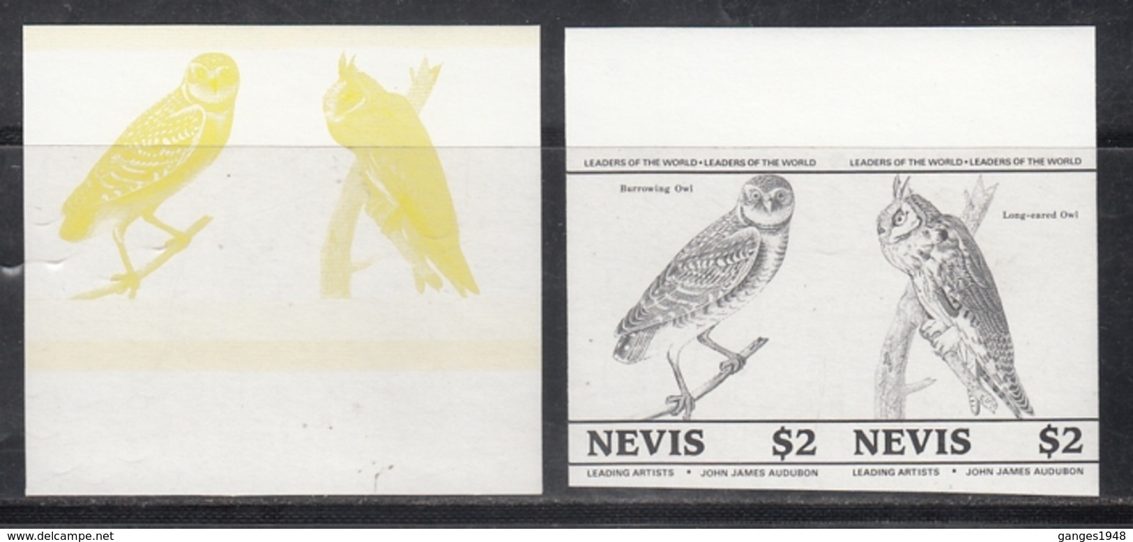 Nevis  Owls  Birds  Colour Trials  2v  Imperf  Pairs # 95177 - Gufi E Civette