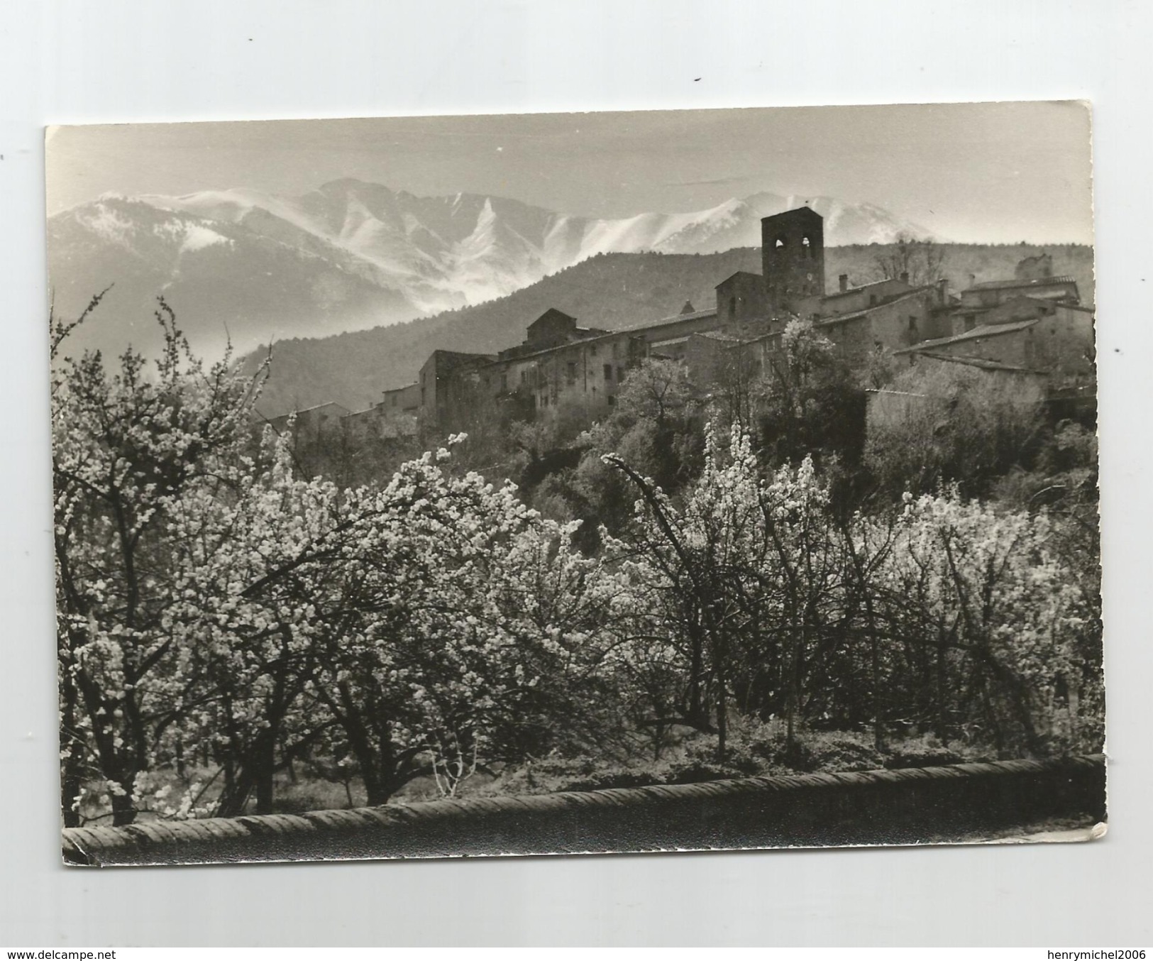 66 Vernet Les Bains Carte Photo De Genovese - Otros & Sin Clasificación