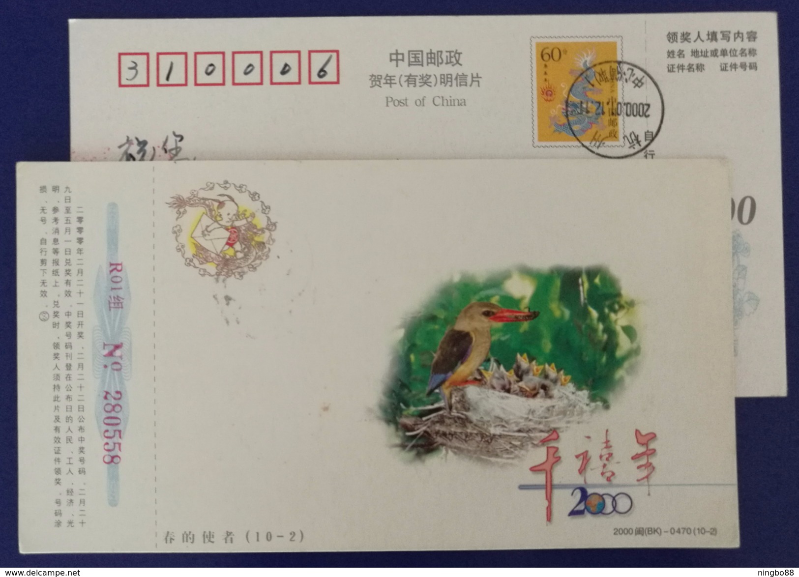 Spring Emissary,Kingfisher Bird Feeding,China 2000 New Millennium Advertising Pre-stamped Card - Other & Unclassified