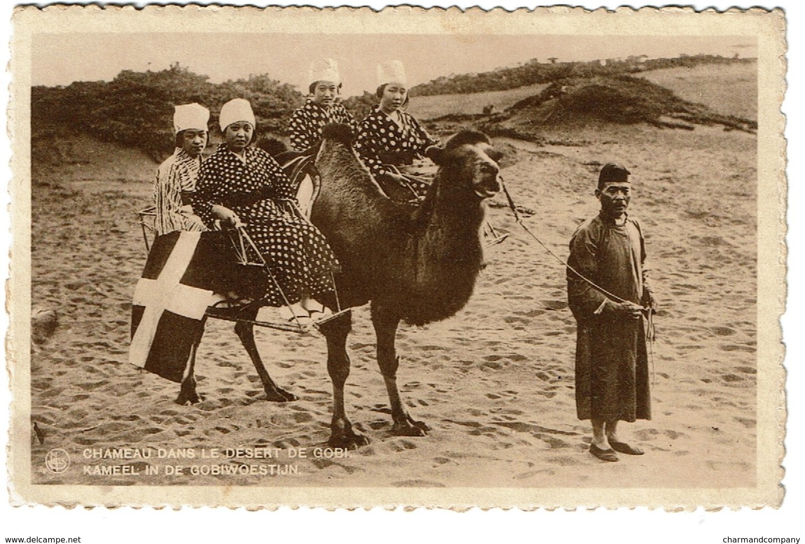 CHINA - MONGOLIE - Chameau Dans Le Désert De Gobi - Kameel In De Gobiwoestijn - 2 Scans - Autres & Non Classés