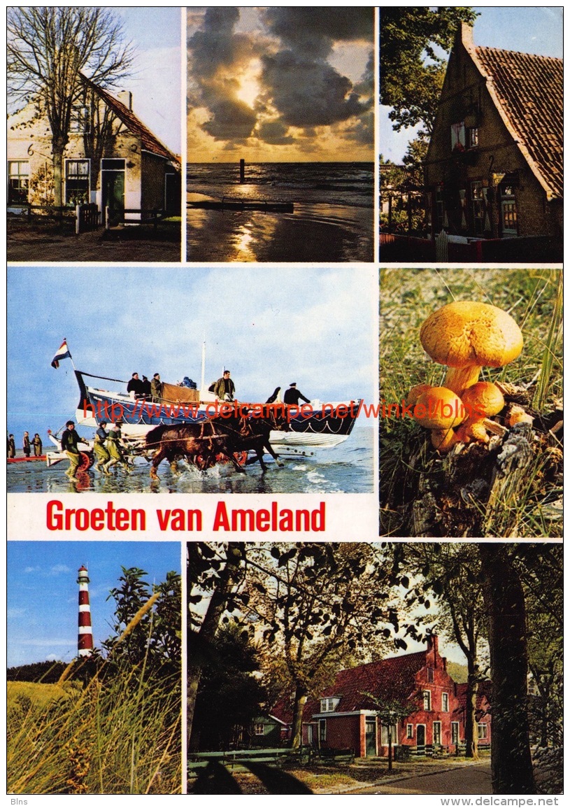 Groeten Van Ameland - Ameland