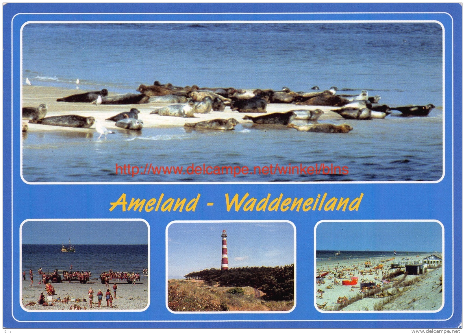 Ameland - Waddeneiland - Ameland