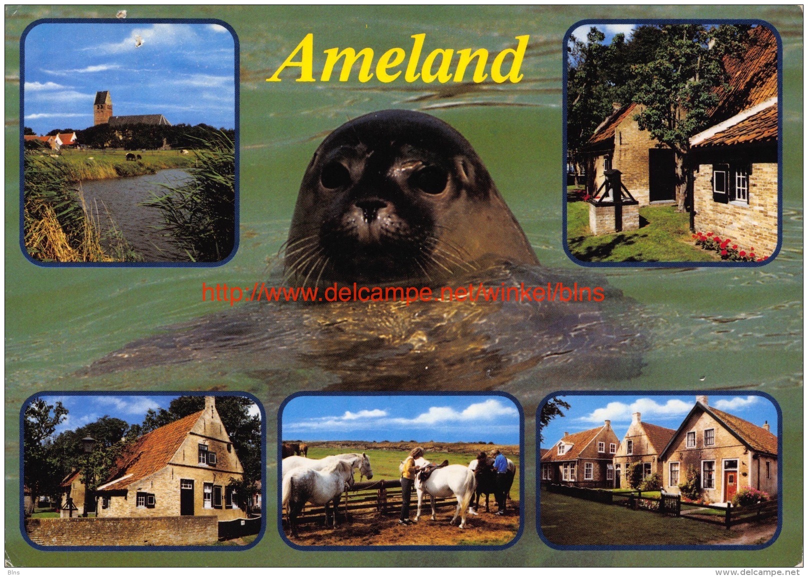 Ameland - Ameland