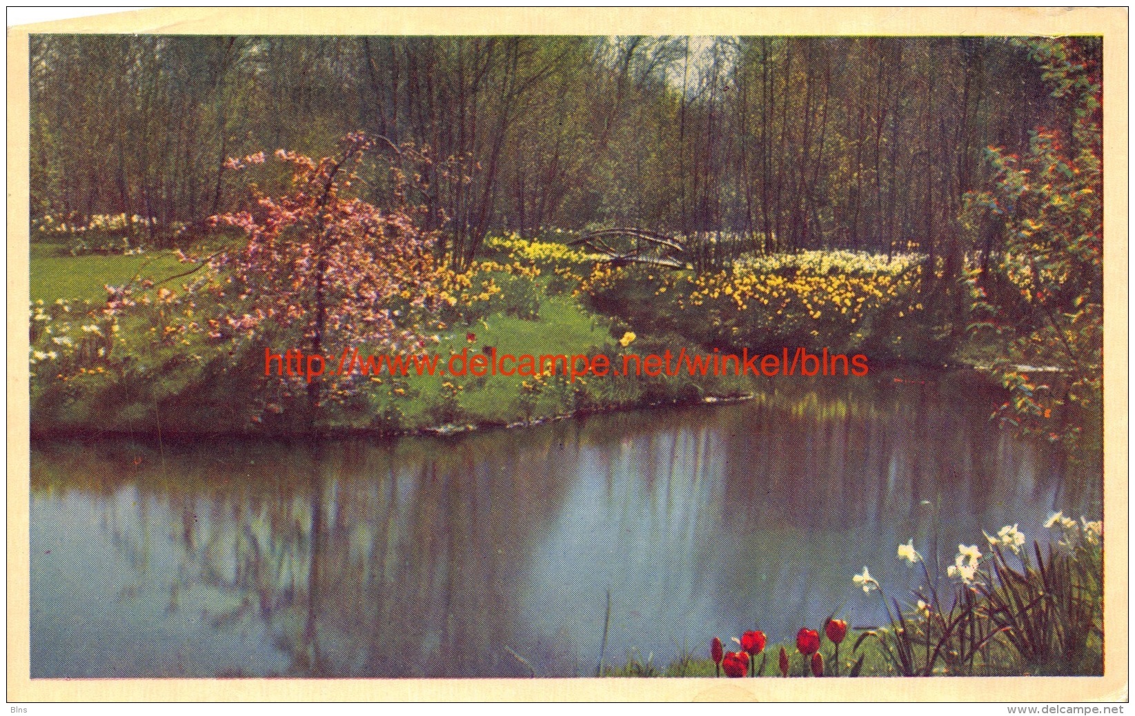 1952 Keukenhof - Lisse - Lisse