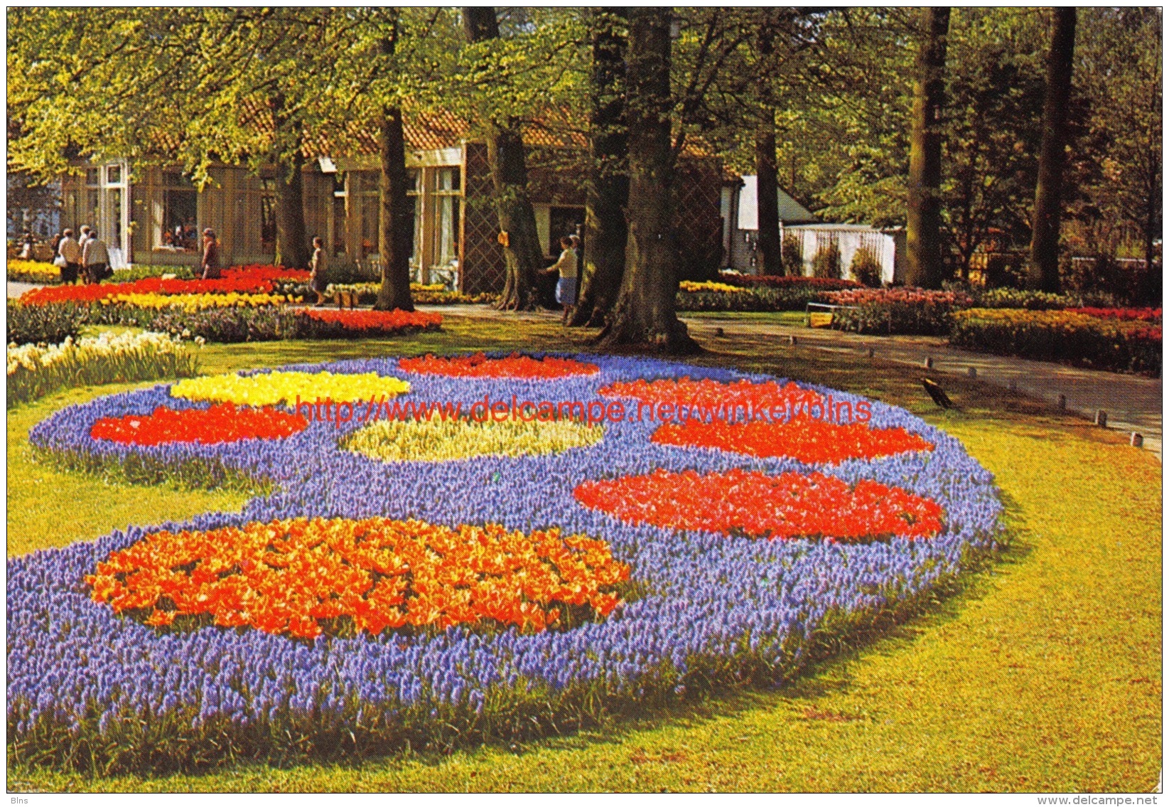 Keukenhof - Lisse - Lisse